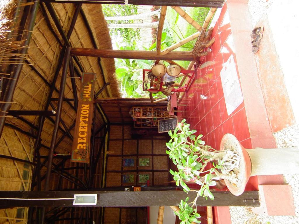 Cooper'S Beach Resort Lucbuan Exterior photo